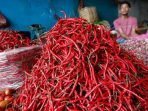 cabai panjang Harga cabai merah keriting di Kota Bengkulu masih bertahan dikisaran Rp 100.000/Kg