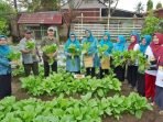 Ketua Tim PPK Provinsi Bengkulu, Derta Wahyulin Rohidin didampangi Kepala Dinas Ketahanan Pangan Provinsi Bengkulu, Sisardi dan pengurus dan anggota PPK lainnya melaksanakan panen tanaman sawi dan pakcoy di kebun milik PKK Provinsi Bengkulu.(Foto/Ist)