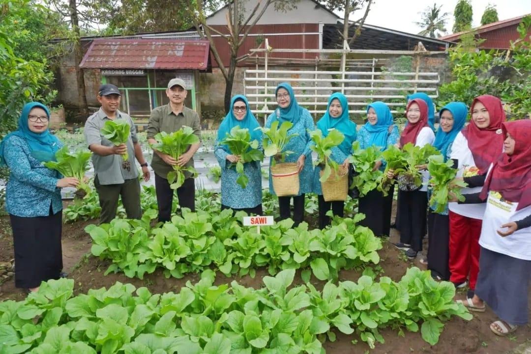 Ketua Tim PPK Provinsi Bengkulu, Derta Wahyulin Rohidin didampangi Kepala Dinas Ketahanan Pangan Provinsi Bengkulu, Sisardi dan pengurus dan anggota PPK lainnya melaksanakan panen tanaman sawi dan pakcoy di kebun milik PKK Provinsi Bengkulu.(Foto/Ist)