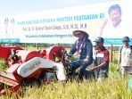Mentan Panen Raya di Seluma, Bengkulu Menteri Pertanian (Mentan) Syahril Yasin Limpo melakukan panen raya padi menggunakan alsintan di Desa Sari Mulyo Bukit Peninjuan 2, Kecamatan Sukaraja, Kabupaten Seluma, Provinsi Bengkulu, Jumat.(Foto/Ist)