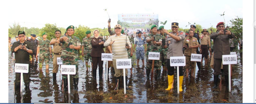 Mangrove Pantai Gubernur Bengkulu, Rohidin Mersyah bersama jajaran TNI, Polri, Forkopindo dan instansi terkait melakukan penanaman bibit mangrove di atas lahan seluas 1,2 hektare di kawasan Pantai Pesisir Bengkulu, awal pekan ini.(Foto/Ist)