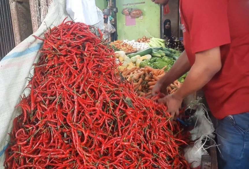 Cabai Panjang Harga cabai panjang merah di Bengkulu Melonjak Rp 60.000/kg (Foto-Dokumen)