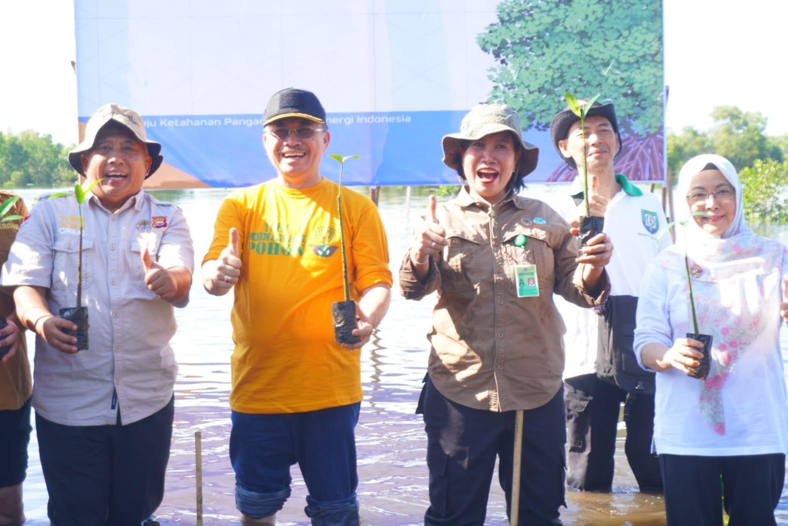 Tanam Mangrove Serentak KLH Asisten II Pemprov Bengkulu, RA Deny bersama Dinas LHK Bengkulu dan instansi terkati melakukan penanaman Mangrove serentak dalam rangka penghijauan dan mitigasi bencana.(Foto/Pemprov Bengkulu)