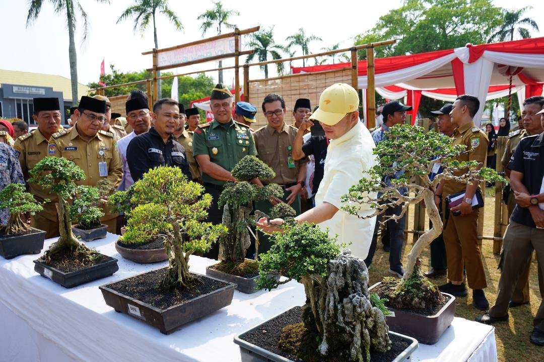 Festival Bonsai Gubernur Bengkulu mengunjungi festival bongsa di halaman kantor Gubernur Bengkulu, Senin 26 Agustus 2024. (Foto-Humas Pemprov Bengkulu)
