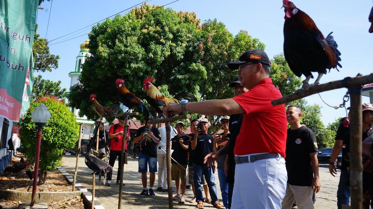 Gubernur Bengkulu, Rohidin Meryah membuka pameran ayam berugo dalam rangka memperingati hari jadi ke-3 Perhimpunan Penangkar Ayam Hutan Merah Sumatera (PPAHMS), Sabtu 11 Januari 2024.(Foto-Humas Pemprov Bengkulu)