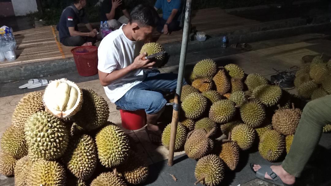Bjuah Durian Banjiri Kota Bengkulu.(Foto-Istimewa)