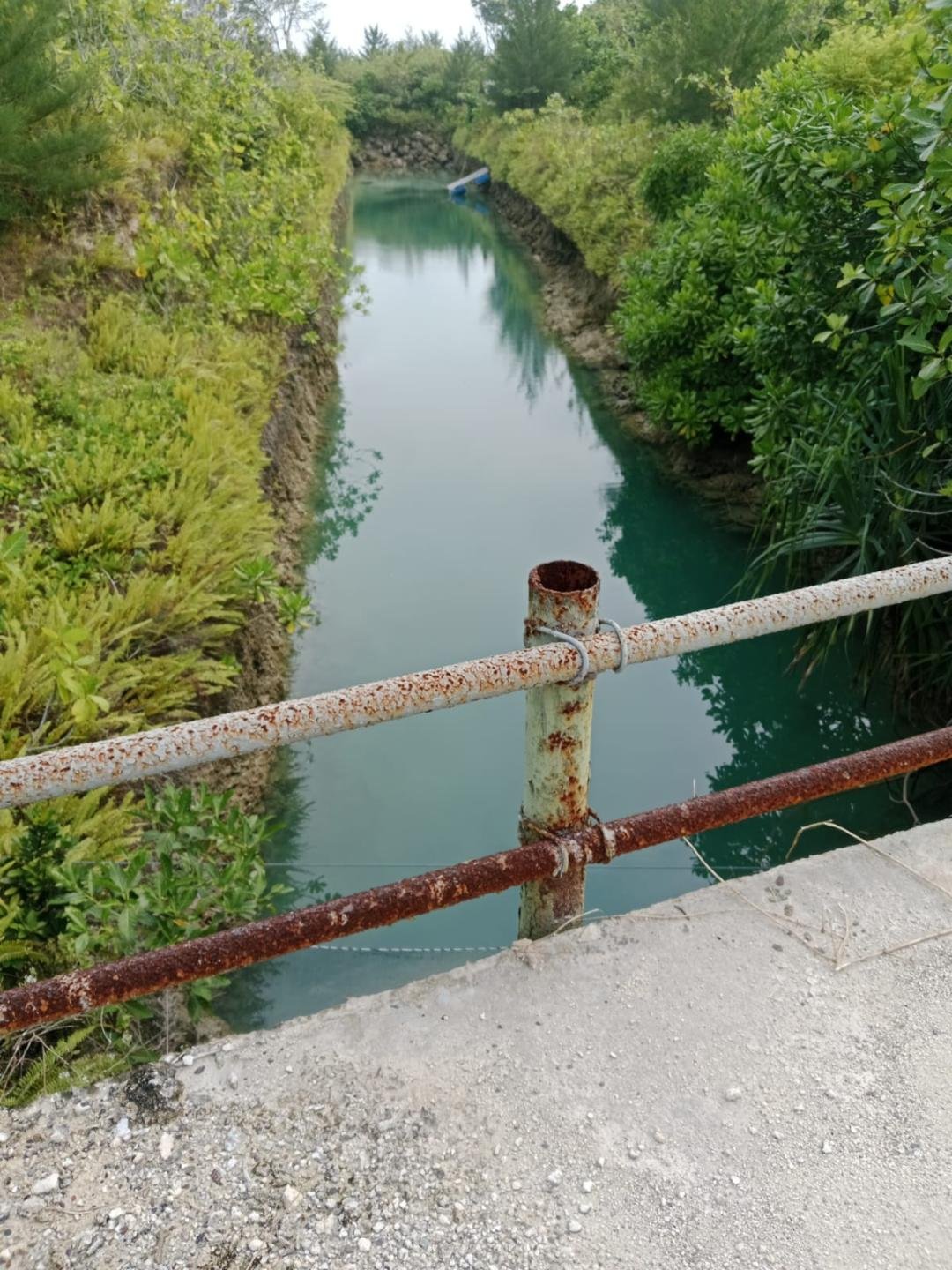 Sungai yang ada di sekitar lokasi salah satu tambak udang di Kabupatenn Kaur diduga alami penceraman limbah dari usaha tambak tersebut.(Foto-Ist)