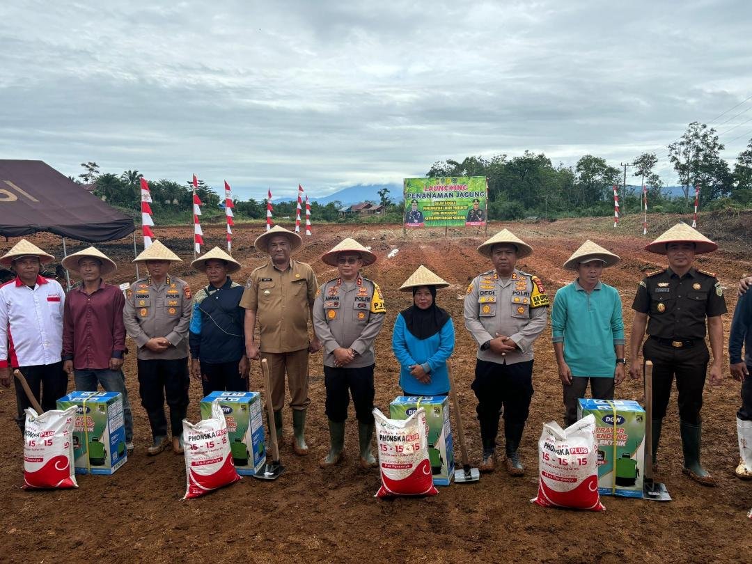 Polda Tanam Jagung Kapolda Bengkulu, Irjen Pol Anwar dan Pj Bupati Bengkulu Tengah, Heryandi Roni bersama petani melakukan penanaman perdana jagung di lahan produktif seluas 5 hektare di Desa Renah Semanik, Kecamatan Karang Tinggi, Senin 2 Desember 2024.(Foto-TBN Bengkulu)