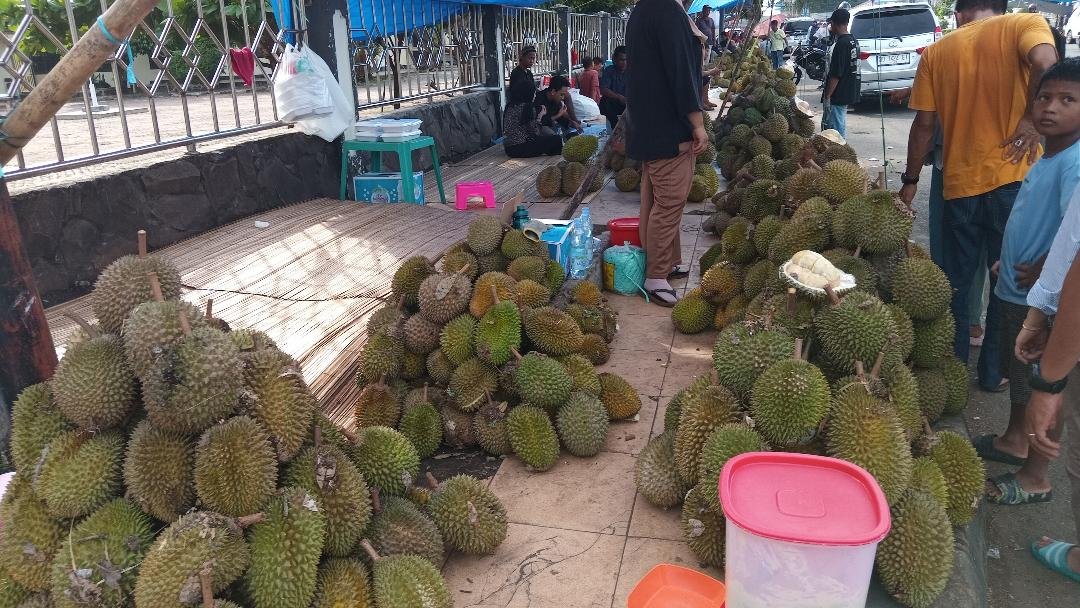 Buah durian lokal sejak dua pekan ini mulai membajari Kota Bengkulu, dan harganya antara Rp 15.000-Rp 25.000/buah.(Foto HBN/Usmin)