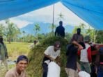 Petani Psnrn Padi Sejumlah petani di Kabupaten Lebong mulai melaksanakan panen padi dengan hasil sangat memuaskan rata-rata 6 ton GKP per hektare.(Foto/Istimewa)