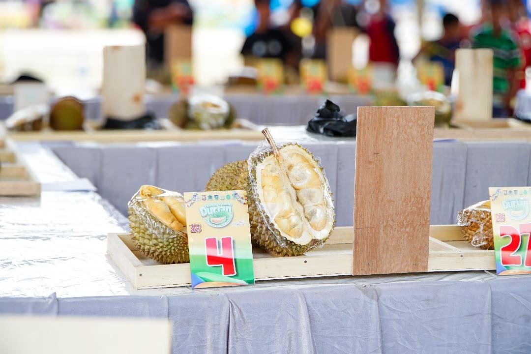 Festival durian lokal di Kabupaten Rejang Lebong, Bengkulu, berlangsung sukses.(Foto-Istimewa)