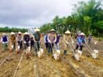 kapolda tanam jagung Kapolda Bengkulu, Irjen Anwar melaunching penanaman jagung satu juta hektare di Desa Riak Siabun, Kecamatan Sukaraja, Kabupaten Seluma, Selasa 21 Januari 2025.(Foto-Istimewa)