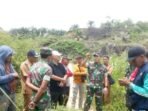 Dandim BS Cetak Sawah Kaur Dandim Bengkulu Selatan Letkol Czi Bambang Santoso bersama dinas terkait meninjau lahan pencetakan sawah baru di Padang Guci, Kabupaten Kaur.(Foto-RRI)
