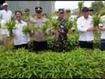 Dandim Kota Bengkulu Panen Kangkung Dandim o407 Kota Bengkulu, Kol Inf Widi Rahman bersama instansi terkait melaksanakan panen raya tamanan kangkung di halaman Kantor Koramil Muara Bangkahulu, Sabtu 22 Februari 2025.(Foto-Istimewa)