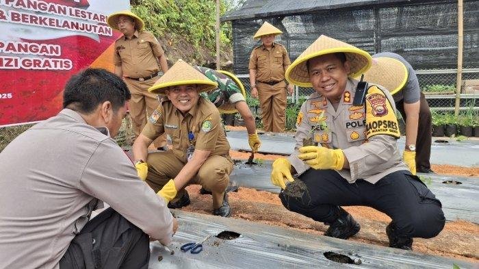 Kapolres Bengkulu Tengah, AKBP Dedi Wahyudi dan Sekda Hendri Donal menanam sayur pada acara launcing program perkarangan ketahanan pangan lestari di Mapolrestempat, Senin 24 Februari 2025.(Foto-Istimewa)