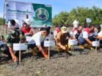 Pertamina Tanam Magrove Pertamna Patra Niaga Sumbagsel menanam Mangrove di kawasan pesisir Pulau Baai, Kota Bengkulu, Senin Februari 2025.(Foto-Istimewa)