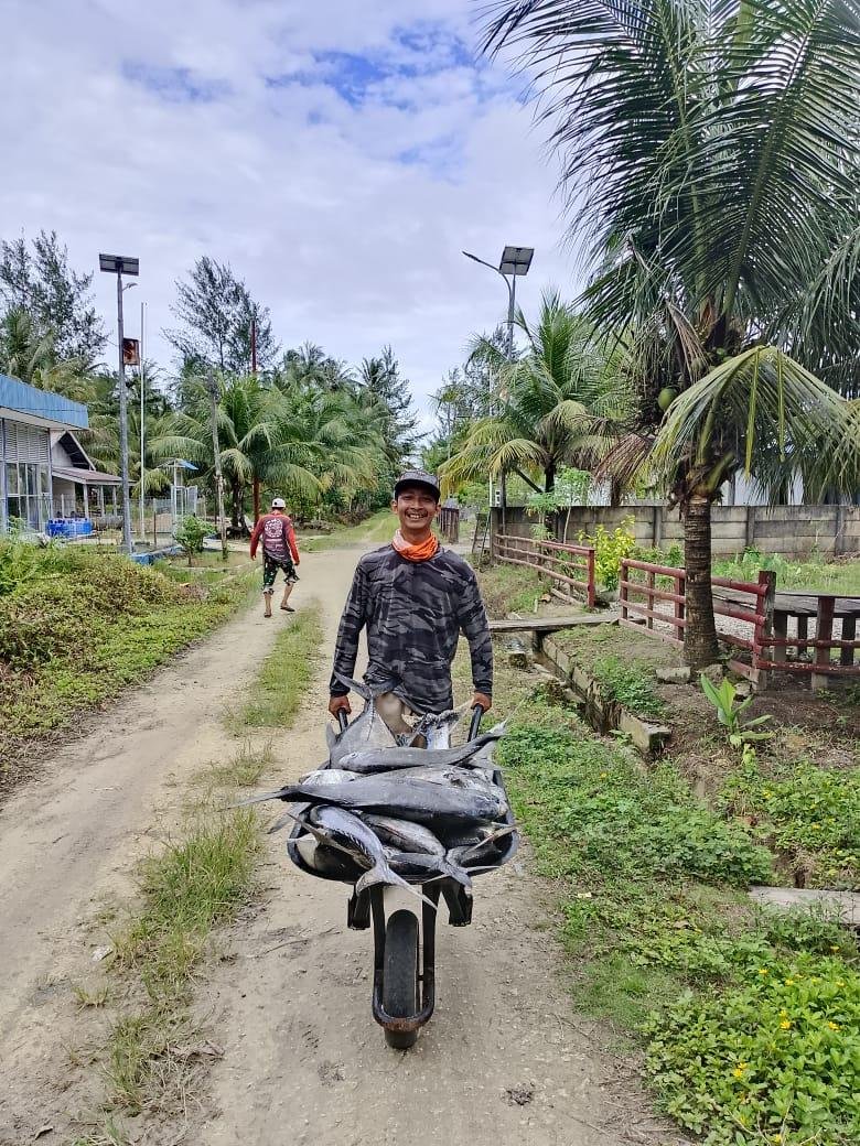 Ikan Tangkapan Nelkayan Tak bisa Dijual Ikan hasil tangkapan nelayan Enggano, Bengkulu Utara, tidak bisa dijual ke Bengkulu akibat tidak kapal tidak ada yang masuk ke daerah ini.(Foto/Istimewa)