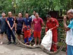 Petugas Damkar Kota Bengkulu berhasil menangkap seekor ular python ukuran besar dari pekarangan rumah warga Jalan Batang Hari, Kelurahan Nusa Indah, Kecamatan Ratu Agung.(Foto/Ist)