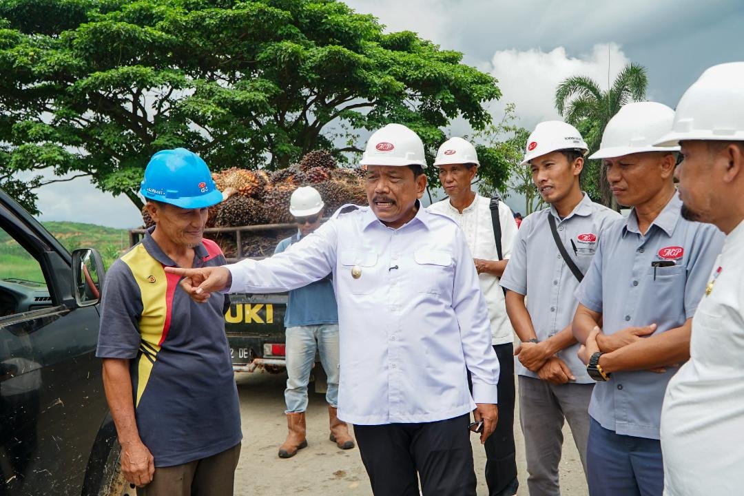 Wakil Gubernur Bengkulu, Mian sidak ke pabrik kelapa sawit (PKS) di Bengkulu Utara terkait turunnya harga buah kelapa sawit di wilayah ini setelah Hari Raya Idulfitri 1446 H, sehingga petani resah.(Foto/Ist)
