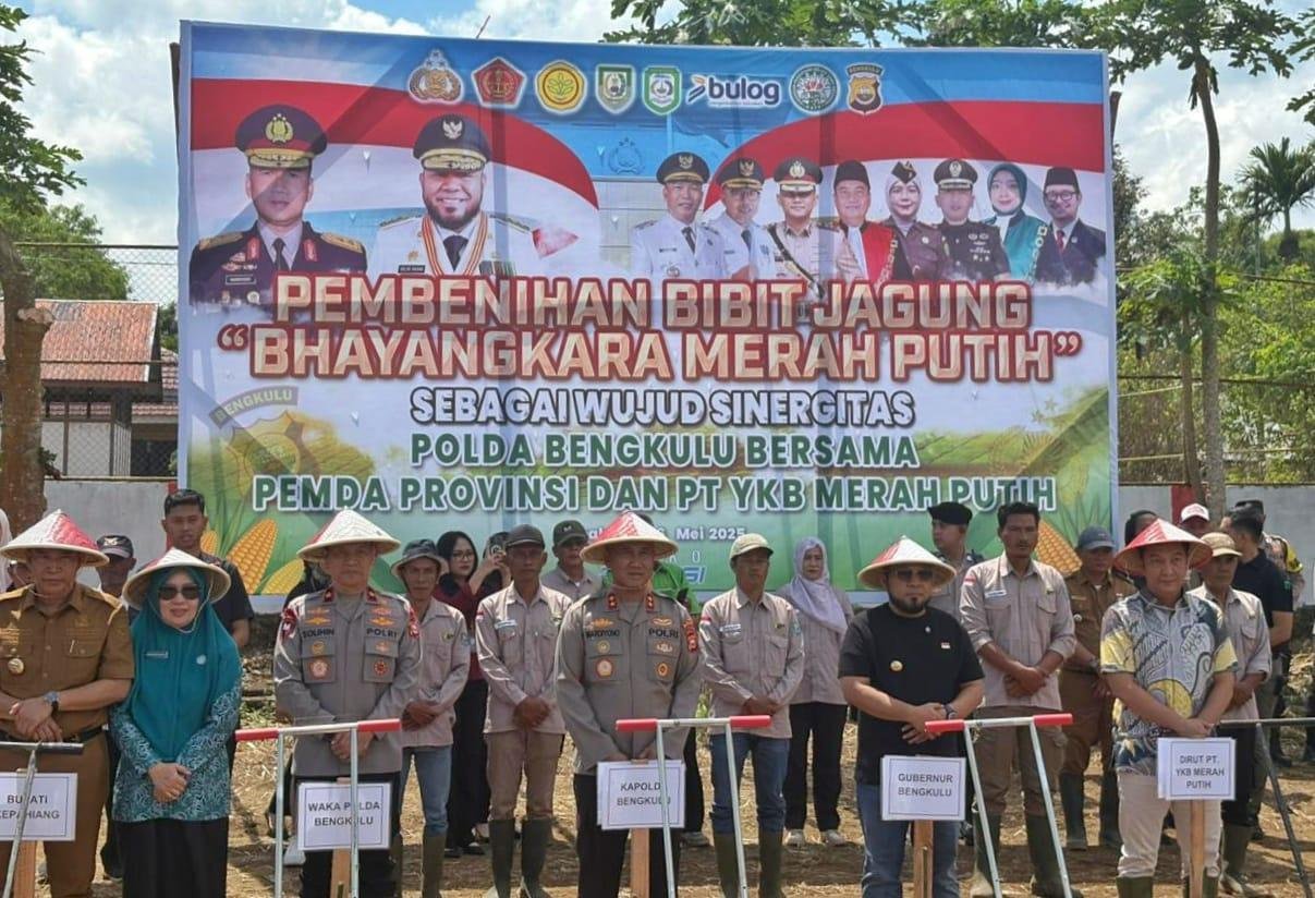 Kapolda Bengkulu, Irjen Pol Mardiyanto bersama Gubernur Bengkulu dan Forkopimda provinsi dan kabupaten melaksanakan penanaman bibit jagung Bhayangkara di Desa Klobak, Kabupaten Kepahiang, Bengkulu, Selasa 6 April 2025.(Foto/MC Bengkulu)