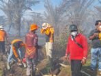 Gambut Terbakar di Mukomuko Petugas BPBD bekerja keras membuat lobang untuk mematikan kobaran api membakar belasan hektare lahan gambut di wilayah tersebut.(Foto/Ist)