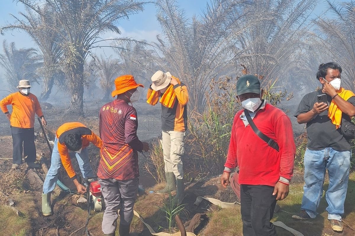 Gambut Terbakar di Mukomuko Petugas BPBD bekerja keras membuat lobang untuk mematikan kobaran api membakar belasan hektare lahan gambut di wilayah tersebut.(Foto/Ist)