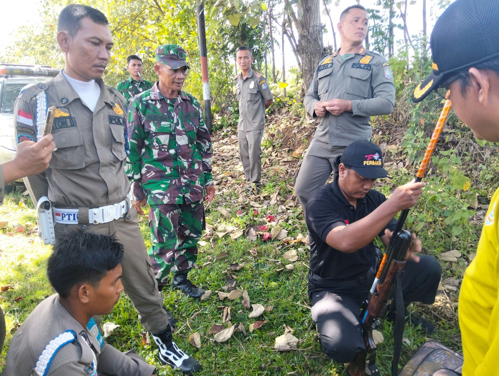 Uji coba tembak bius tertibkan ternak liar Satpol PP Pemkab Kaur melakukan penertiban hewan liar milik masyarakat melalui tembak bius.(Foto/Ist)