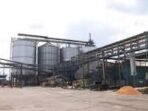 Pabrik kelapa sawit yang memproduksi Crude Palm Oil (CPO).(Foto/Ist)