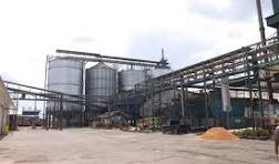 Pabrik Kelapa Sawit Pabrik kelapa sawit yang memproduksi Crude Palm Oil (CPO).(Foto/Ist)
