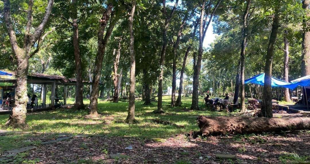 Pemprov Bengkulu serahkan pengelolaan Taman Remaja ke investor swasta.(Foto/Ist)