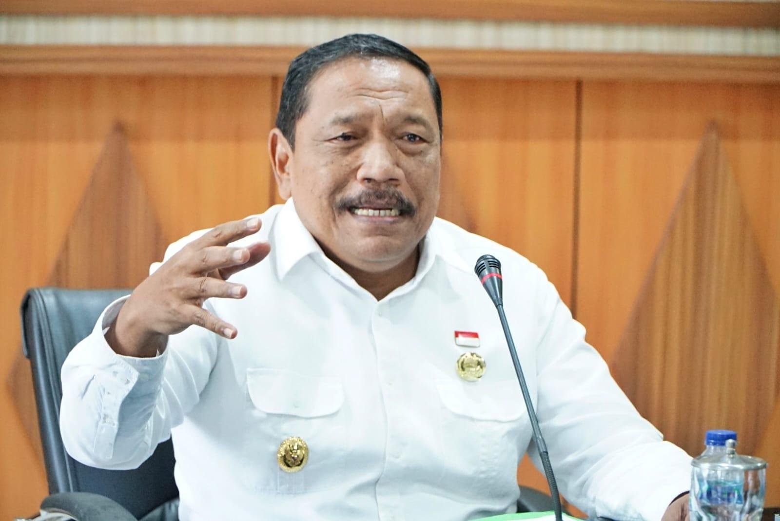 Wagub Bengkulu, Mian (Foto/Ist)