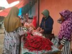 Cabai Kaur Naik Harga cabai merah panjang di Bengkulu melonjak dari Rp 35.000 menjadi Rp 70.000/kg.(Foto/Dok)