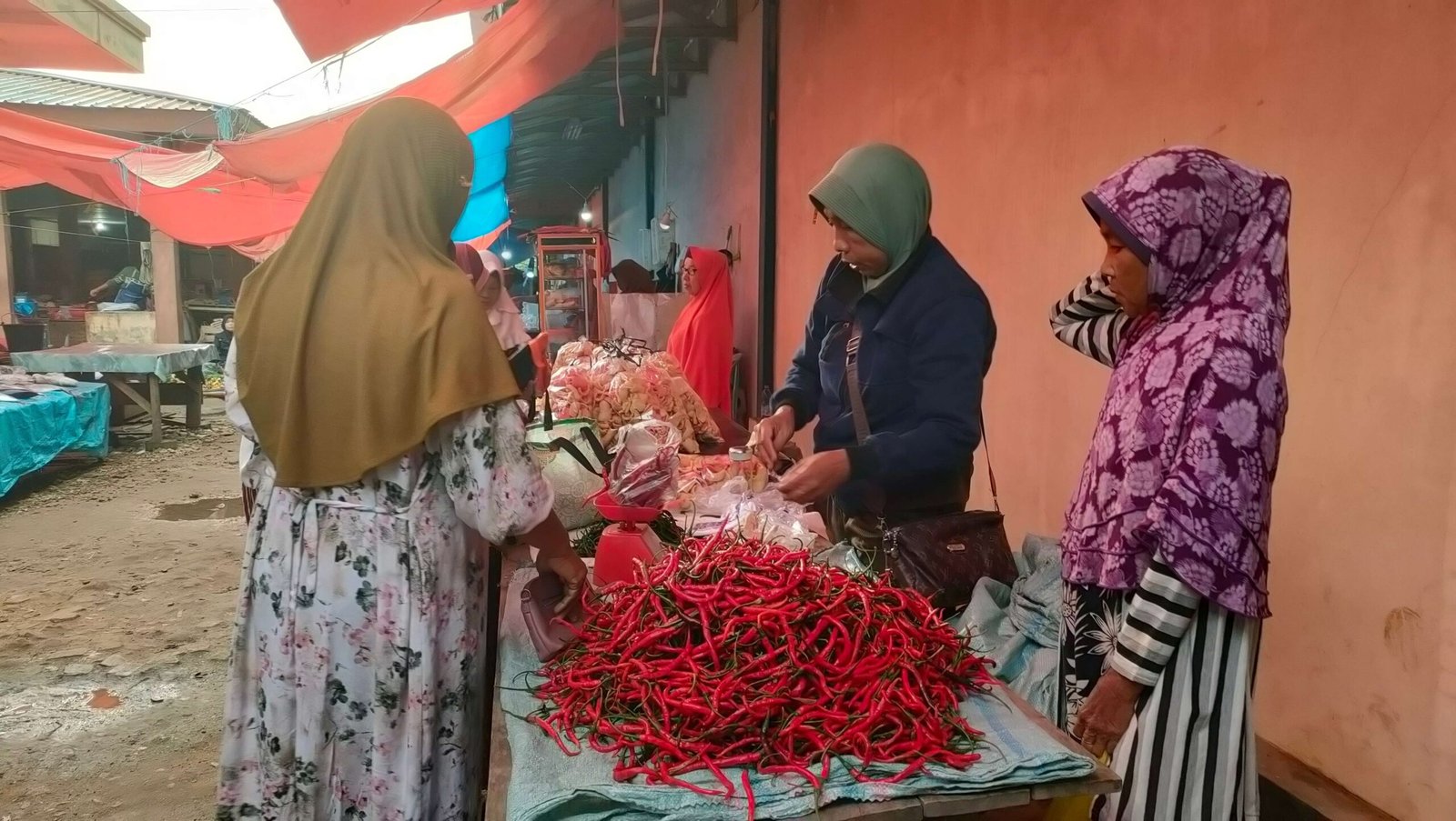 Cabai Kaur Naik Harga cabai merah panjang di sejumlah pasar tradisional di Kabupaten Kaur, Bengkulu awal September ini melonjak hingga Rp 45.000/kg.(Foto/Ist)