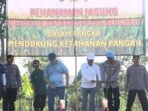 Kapolda Bengkulu Tanam Jagung Kapolda Bengkulu, Irjen Pol Mardiyono didampingi Wakapolda Brigjen Dicky Sandoni meresmikan penanaman jagung di lahan tidur di Kelurahan Lingkat Barat, Kota Bengkulu.(Foto/Ist)