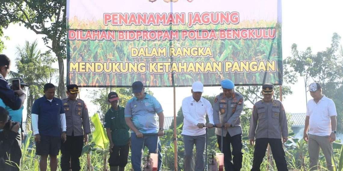 Kapolda Bengkulu Tanam Jagung Kapolda Bengkulu, Irjen Pol Mardiyono didampingi Wakapolda Brigjen Dicky Sandoni meresmikan penanaman jagung di lahan tidur di Kelurahan Lingkat Barat, Kota Bengkulu.(Foto/Ist)