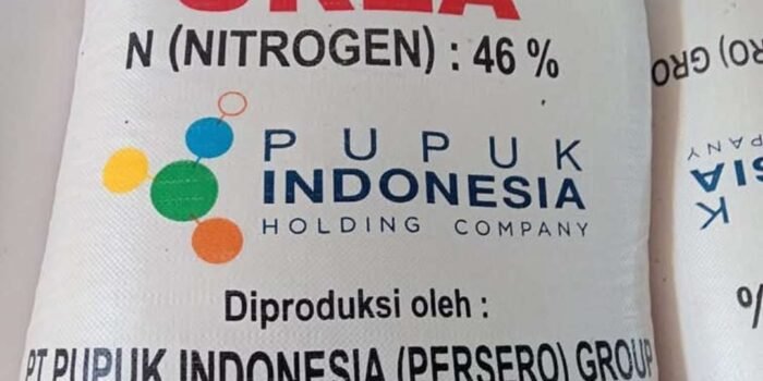 Bantuan Pupuk Subsidi Kota Bengkulu Pemerintah menurunakan semua jenis pupuk subsidi sejak akhir Oktober 2025 sebesar 20 persen dari harga sebelumnya.(Foto/Ist)