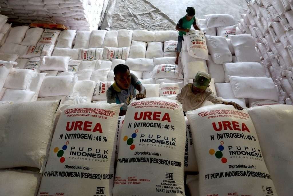 Harga pupuk subsidi turun Sejak 22 Oktober lalu, seluruh jenis pupuk subsidi harganya diturunkan pemerintah rata-rata 20 persen. Stok pupuk subsidi mencukupi sesuai kebutuhan petani setempat.(Foto/Net)