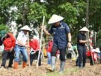Wali Kota Tanam Jagung di Singaranpati Wali Kota Bengkulu, Dedy Wahyudi bersama masyarakat Kecamatan Singaranpati melaksanakan penanaman jagung di sekitar kawasan Danau Dendam Tak Sudah guna menyukseskan program ketahanan pangan di wilayah ini.(Foto/Ist)