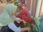 Menjelang perayaan Natura harga cabai panjang merah di Kabupaten Kaur melambung dari Rp 60.000 menjadi Rp 70.000/kg.(Foto/Ist)