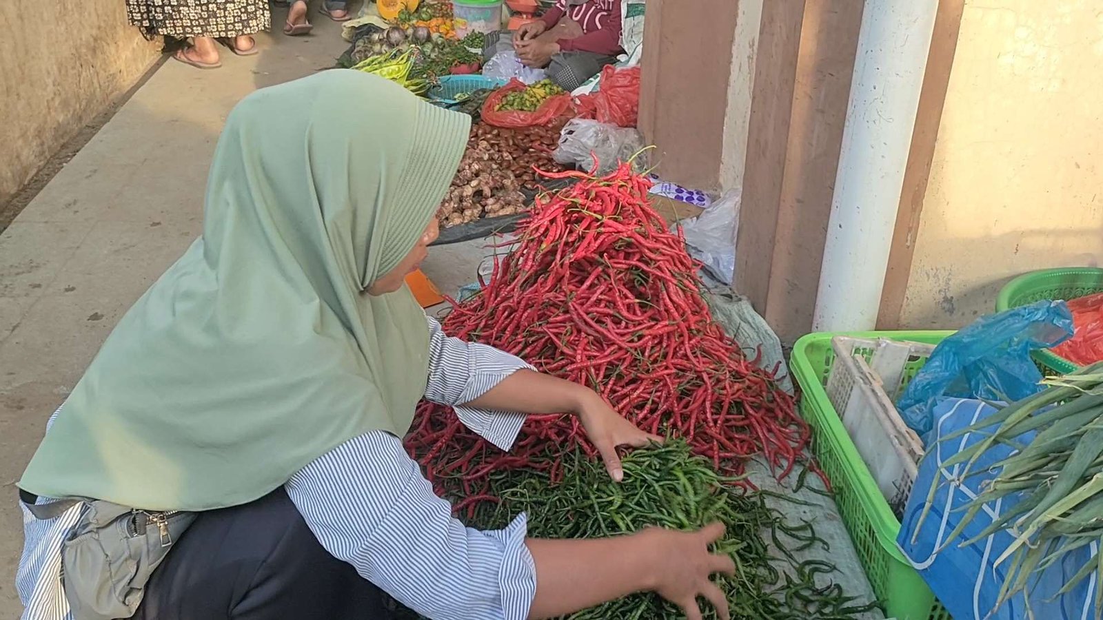 Menjelang perayaan Natura harga cabai panjang merah di Kabupaten Kaur melambung dari Rp 60.000 menjadi Rp 70.000/kg.(Foto/Ist)