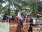 Konflik Agraria antara petani Pino Raya, Bengkulu Selatan dan PT ABS masih berlanjut.(Foto/Walhi Bengkulu)