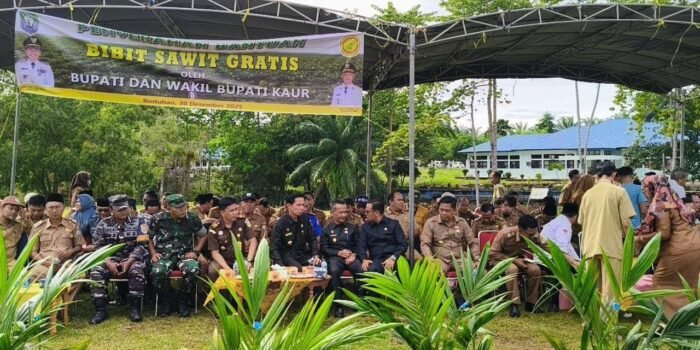 Bupati Kaur Gusri Pausi pada acara penyerahan bantuan bibit kelapa sawit kepada para petani di wilayah ini.(Foto/Ist)