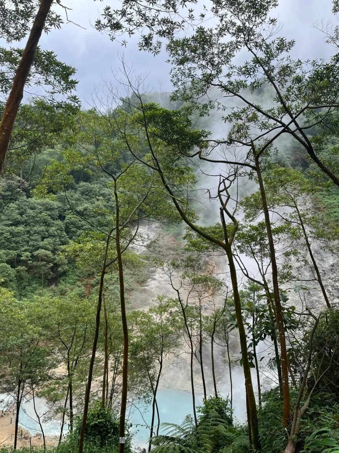 Pembangunan PLTPB di Kabupaten Kepahiang, Bengkulu dikritis Walhi Bengkulu karena mengancam kelestarian hutan Bukit Barisan dan dampak lingkungan lainnya.(Foto/Walhi Bengkulu)