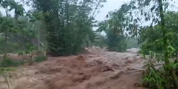 Banjir diserta longsor di sejumlah daerah di Bengkulu pada awal April 2026 ini, menimbulkan kerusakan tanaman pertanian masyarakat akibat tertimbun tanah saat dibawah banjir.(Foto/Ist)