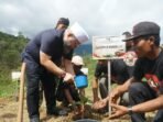 Gubernur Bengkulu, Helmi Hasan menanam bibit kopi rabusta dalam rangka meningkatkan kesejahteraan masyarakat melalui program hutan kemasyarakat.(Foto/Ist)