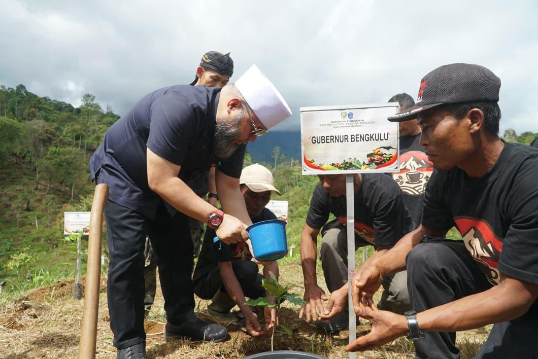 Tanam Bibit Nilai Ekonomi Gubernur Bengkulu, Helmi Hasan menanam bibit kopi rabusta dalam rangka meningkatkan kesejahteraan masyarakat melalui program hutan kemasyarakat.(Foto/Ist)