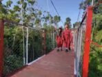 Jembatan gantung Garuda di Kelurahan Rimbo Recap, Kabupaten Rejang Lebong mempercepat akses siswa menuju sekolah, serta mendukung kelacaran berbagai aktivitas masyarakat setempat.(Foto/Ist)